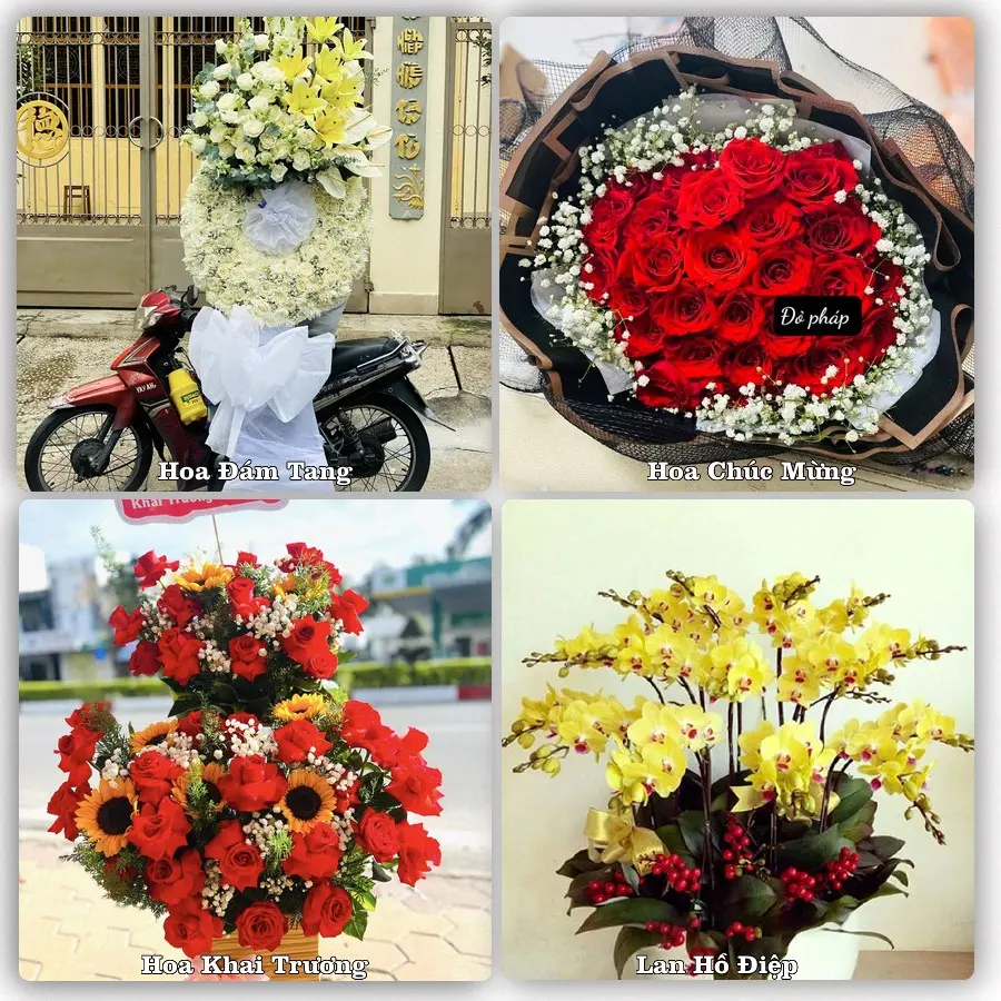 Mẫu hoa tươi dành cho khách đặt hoa tại An Lão
