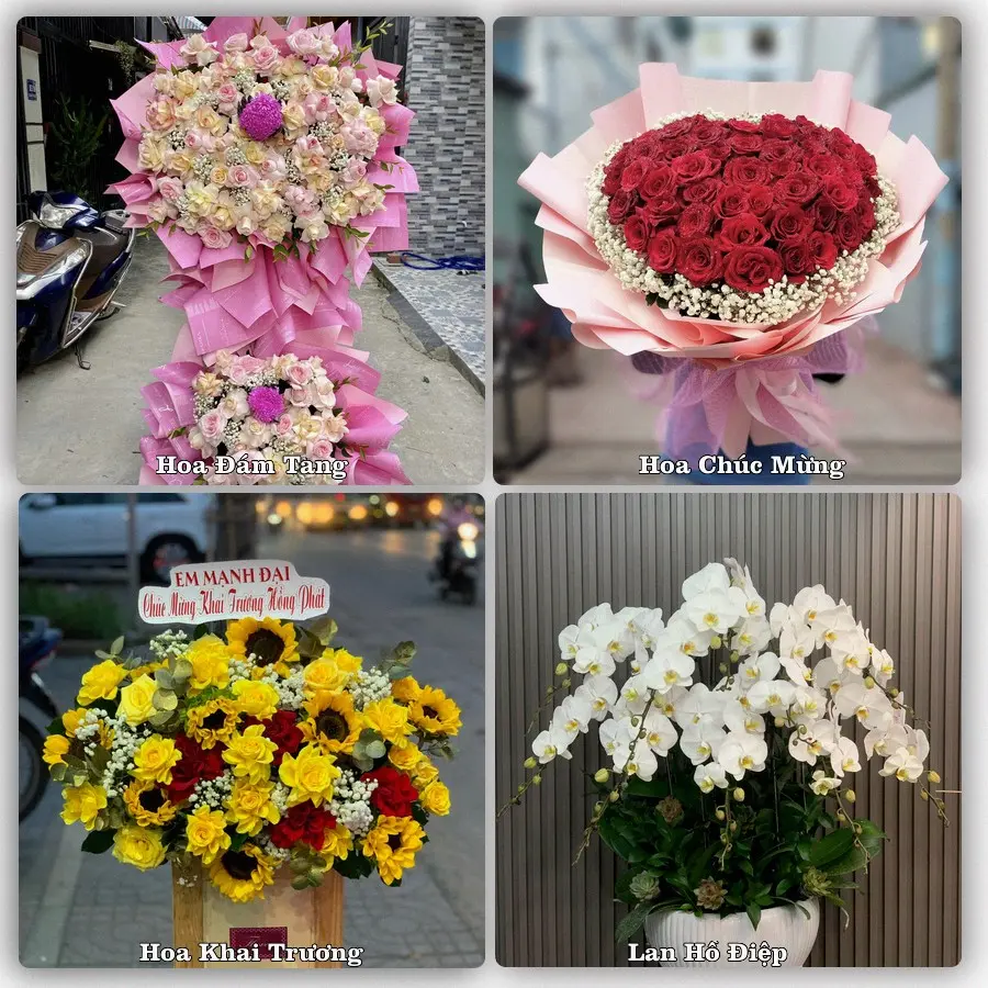 Mẫu hoa tươi dành cho khách đặt hoa tại Ân Thi