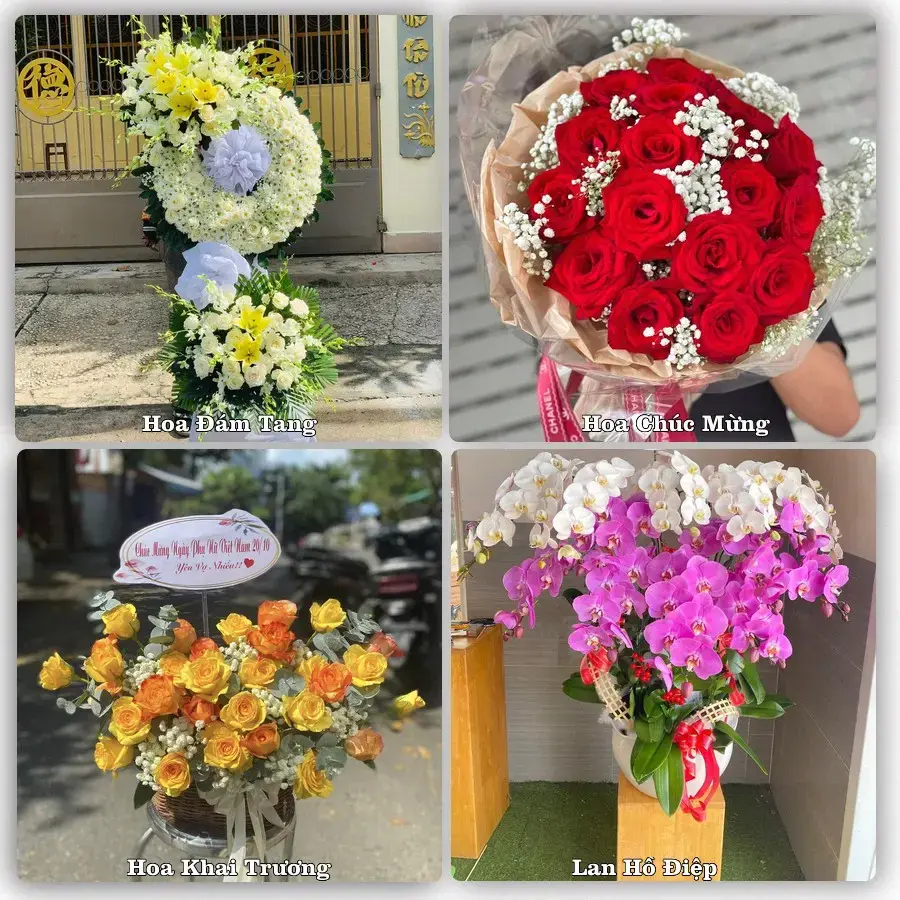 Shop hoa tươi Ba Chẽ – Giao tận nơi trong 2 giờ