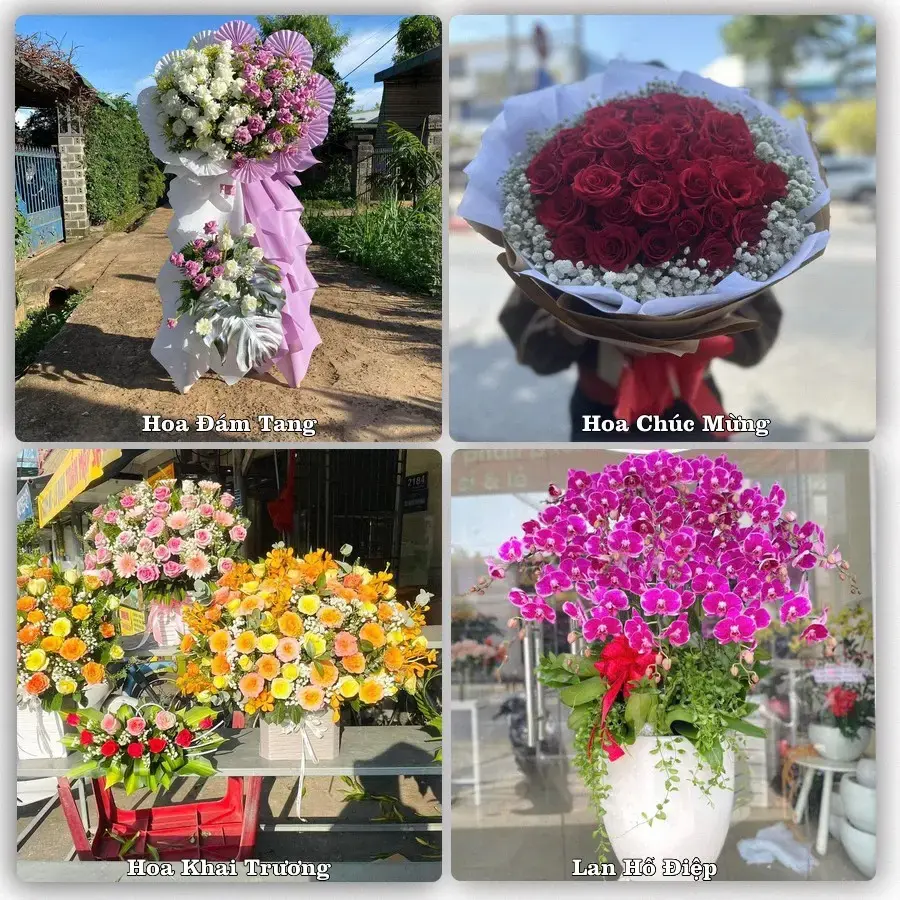 Tư vấn chọn hoa theo từng dịp tại Ba Chẽ
