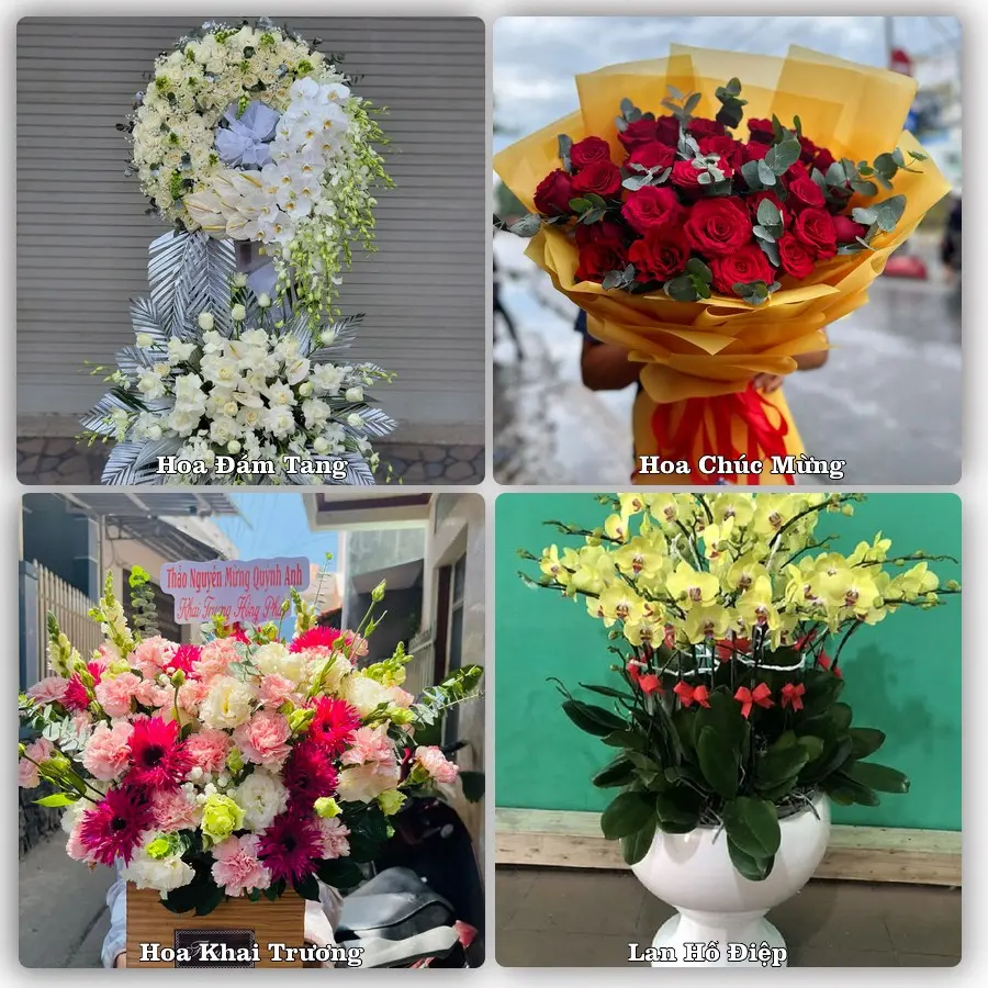 Dịch vụ đặt hoa online giao tận nơi tại Ba Chẽ