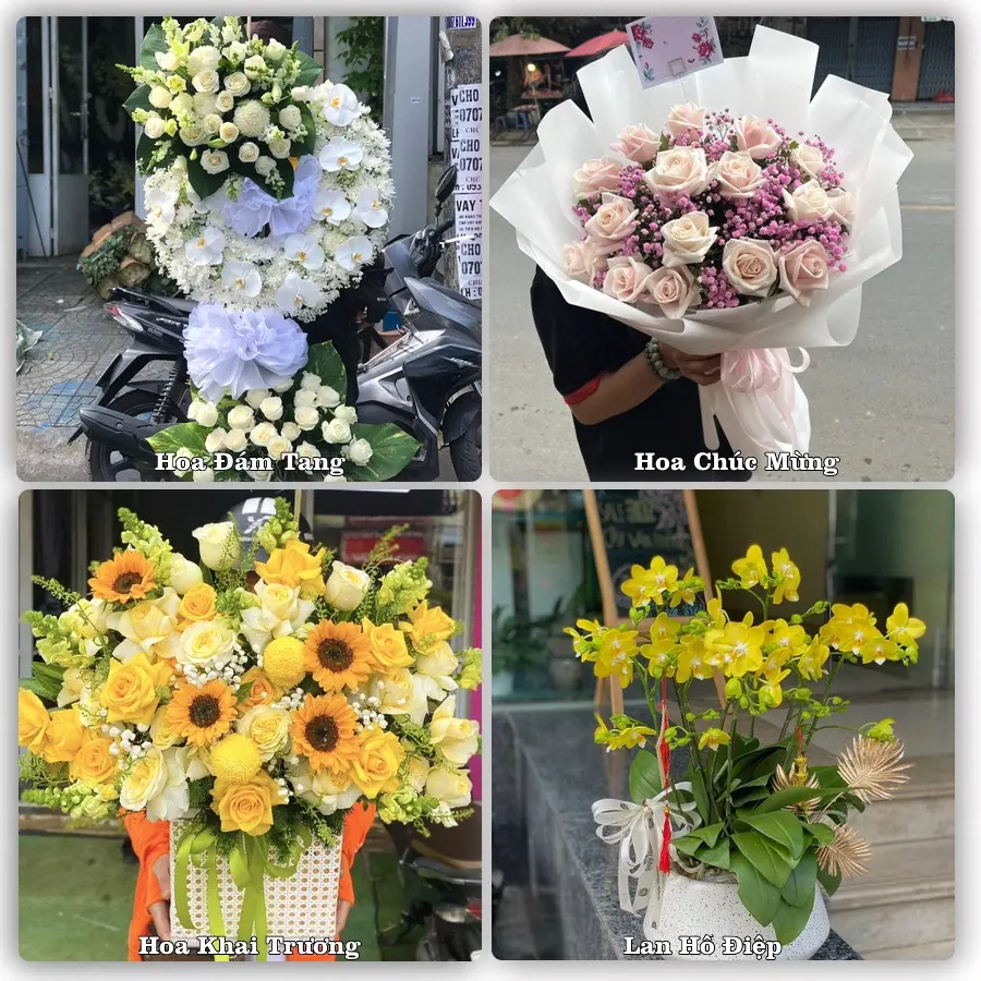 Tư vấn chọn hoa theo từng dịp tại Ba Hàng Đồi, Lạc Thủy