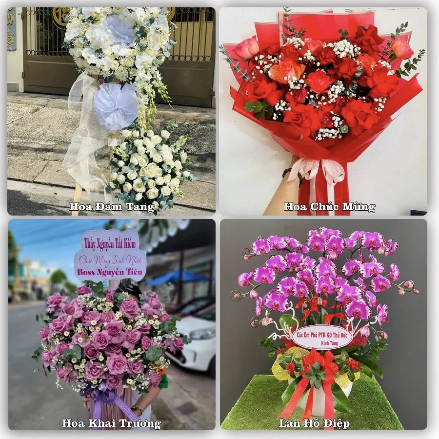 Mẫu hoa tươi dành cho khách đặt hoa tại Ba Sao, Kim Bảng