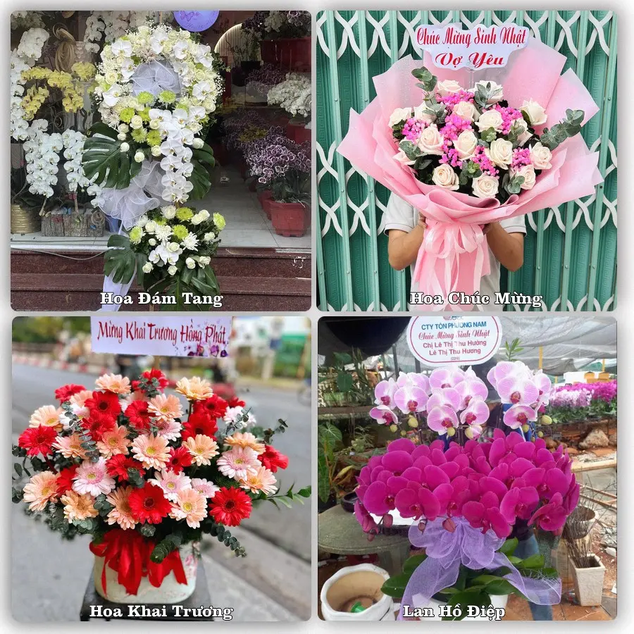 Tư vấn chọn hoa theo từng dịp tại Ba Tơ