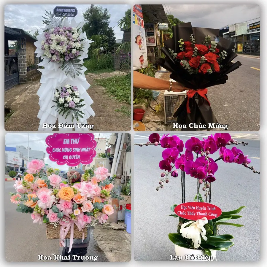 Mẫu hoa tươi dành cho khách đặt hoa tại Bắc Hà