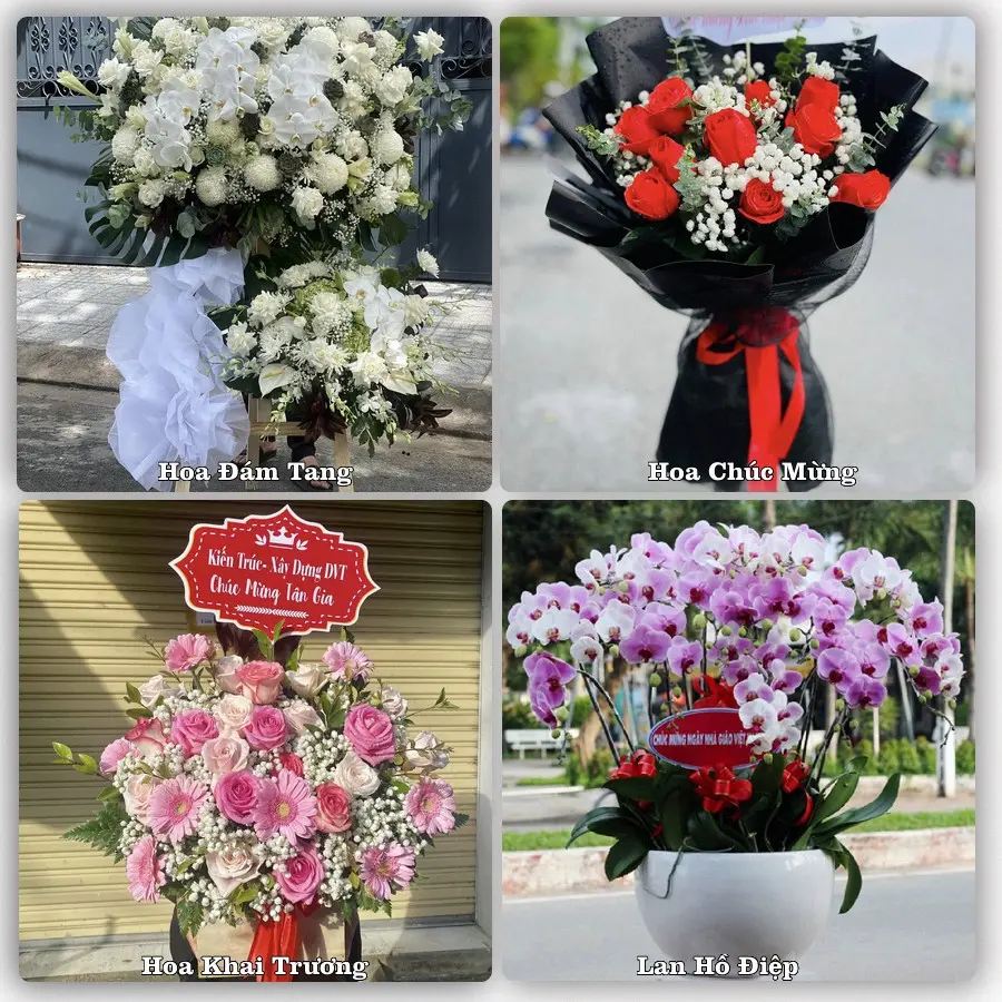 Mẫu hoa tươi dành cho khách đặt hoa tại Bắc Sơn