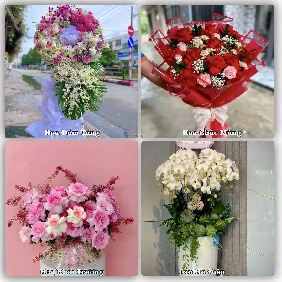 Tư vấn chọn hoa theo từng dịp tại Bắc Yên