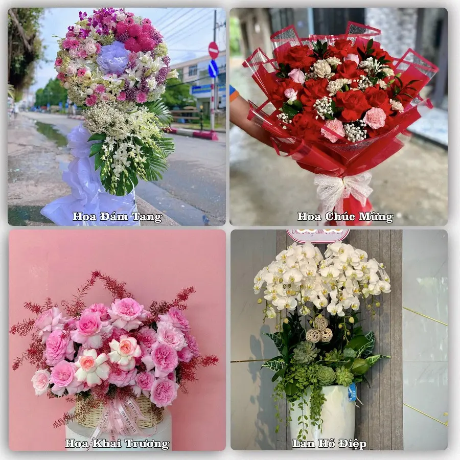 Tư vấn chọn hoa theo từng dịp tại Bắc Yên