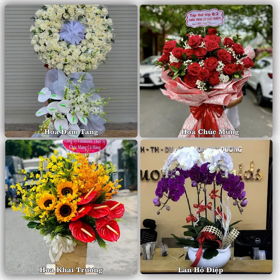 Tư vấn chọn hoa theo từng dịp tại Bằng Lũng, Chợ Đồn