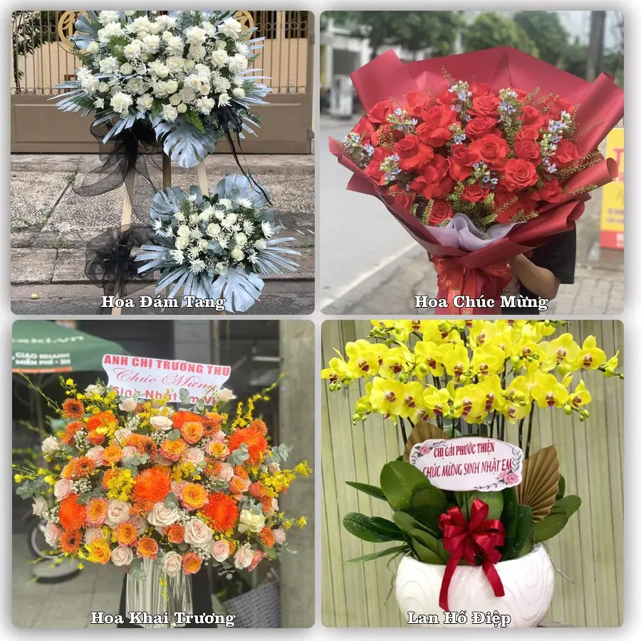 Mẫu hoa tươi dành cho khách đặt hoa tại Bảo Lạc
