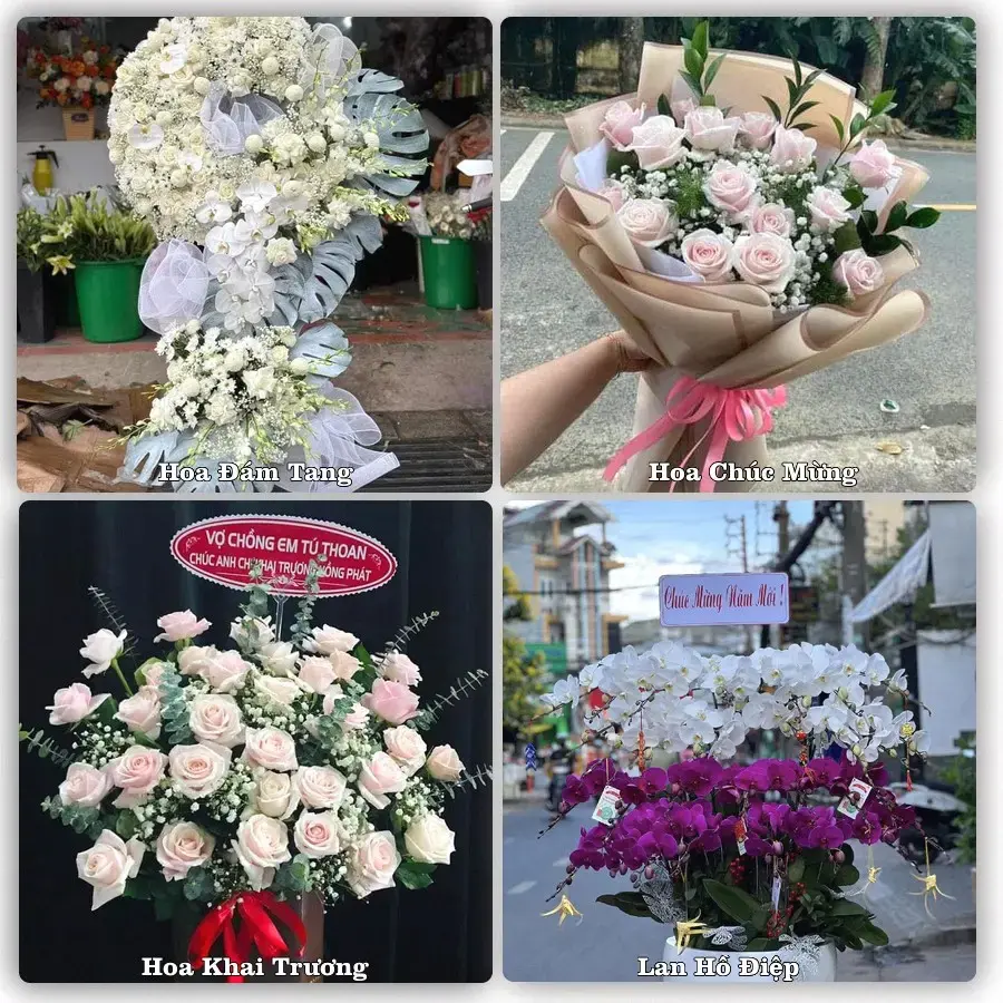 Tư vấn chọn hoa theo từng dịp tại Bảo Lạc