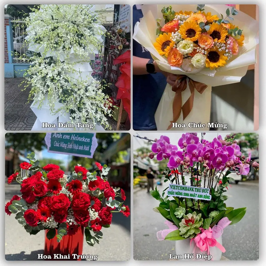 Mẫu hoa tươi dành cho khách đặt hoa tại Bát Xát