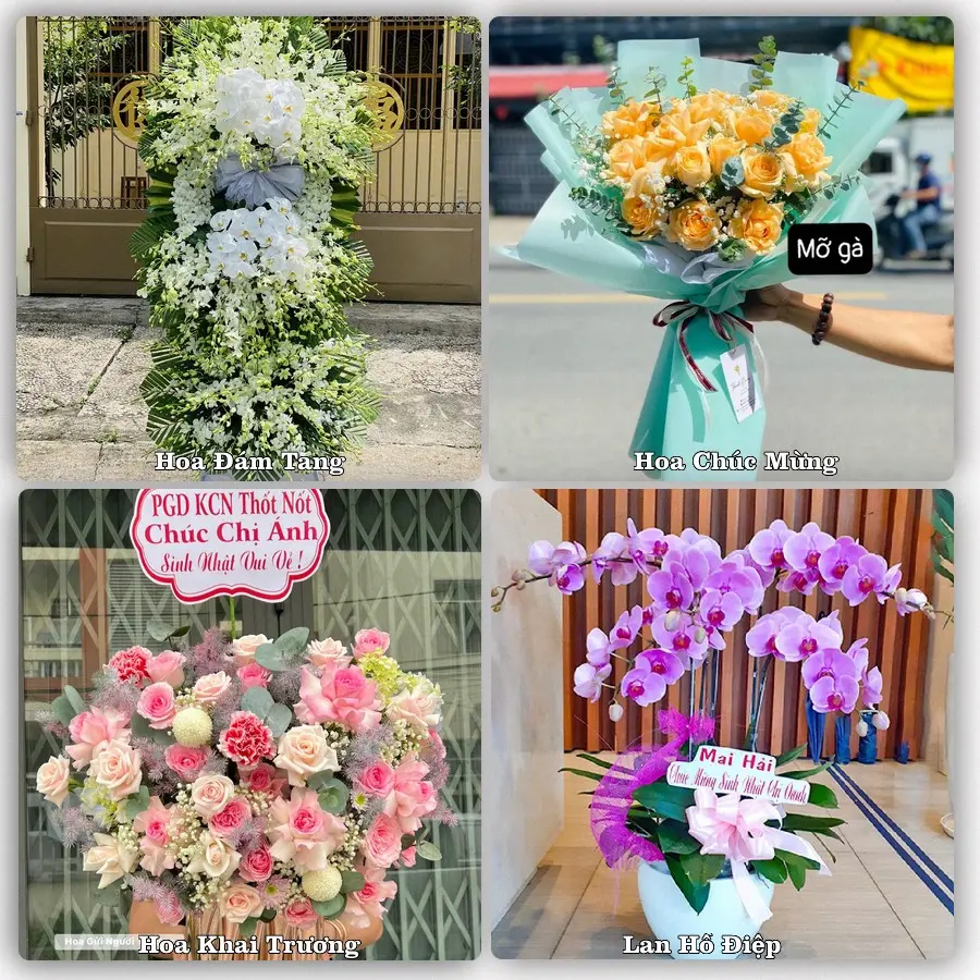 Tư vấn chọn hoa theo từng dịp tại Bát Xát