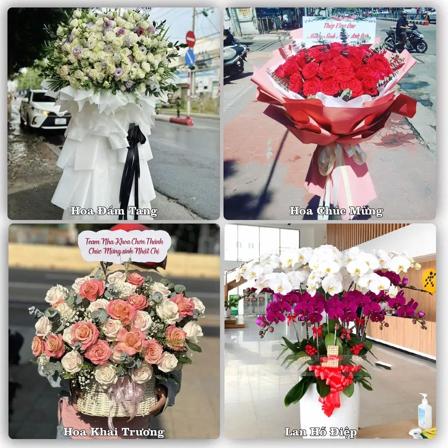 Tư vấn chọn hoa theo từng dịp tại Hòn Đất