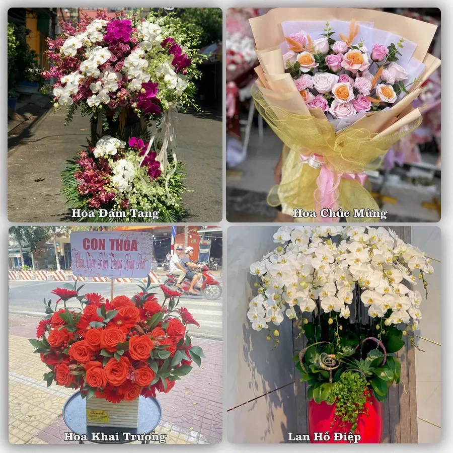 Tư vấn chọn hoa theo từng dịp tại Cô Tô, Tri Tôn