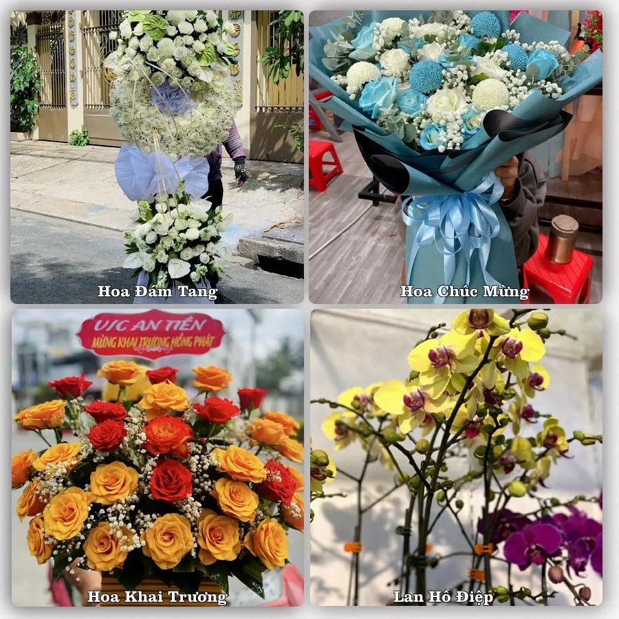 Tư vấn chọn hoa theo từng dịp tại Tri Tôn