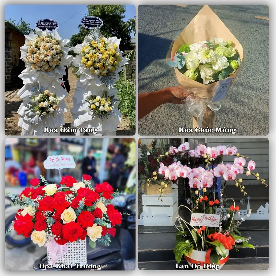Tư vấn chọn hoa theo từng dịp tại Tịnh Biên