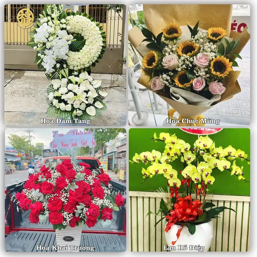 Shop hoa tươi Chi Lăng, Tịnh Biên – Đặt online, giao tận nơi