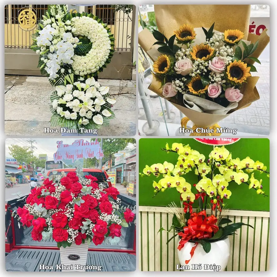 Mẫu hoa tươi dành cho khách đặt hoa tại Chi Lăng, Tịnh Biên