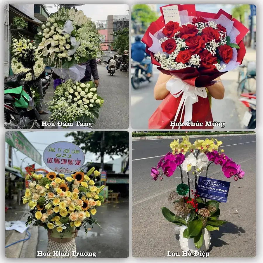 Tư vấn chọn hoa theo từng dịp tại Chi Lăng, Tịnh Biên