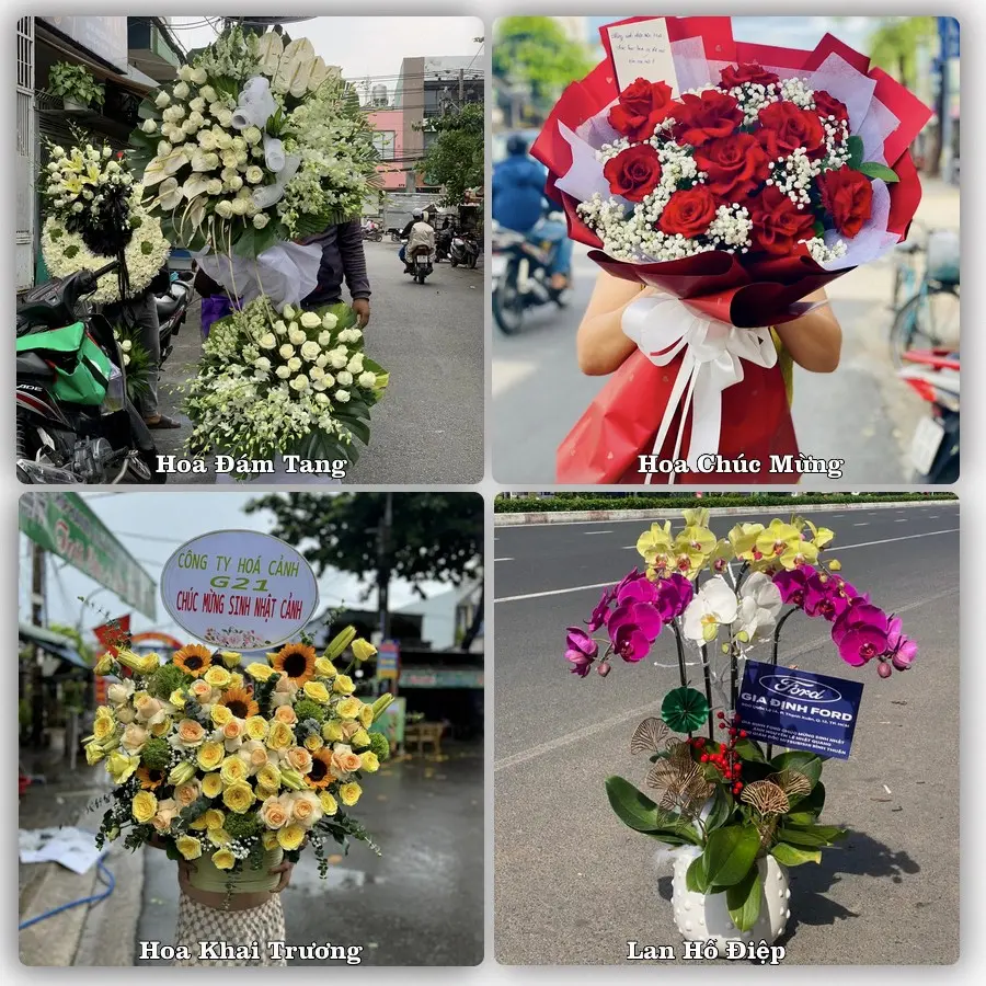 Tư vấn chọn hoa theo từng dịp tại Chi Lăng, Tịnh Biên