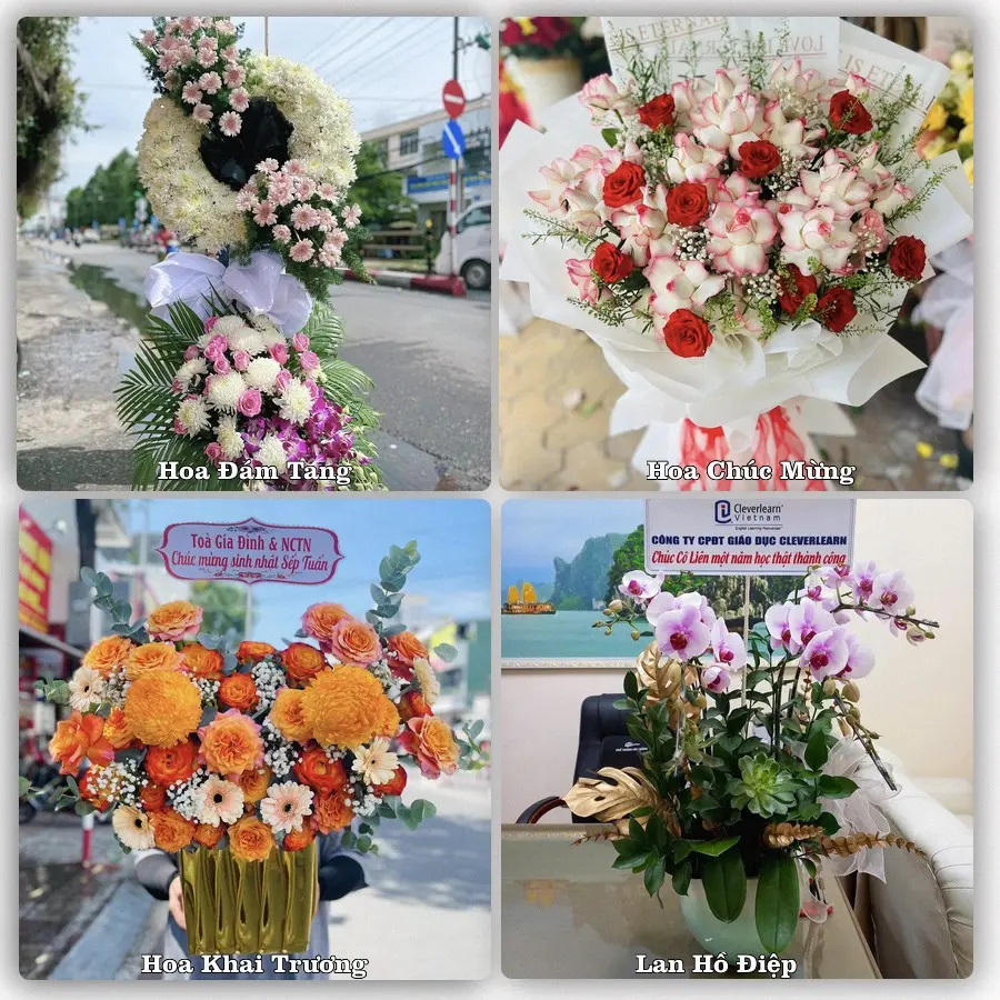 Dịch vụ đặt hoa online giao tận nơi tại Nhà Bàng, Tịnh Biên
