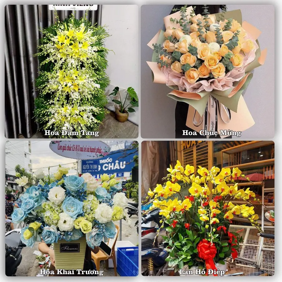Mẫu hoa tươi dành cho khách đặt hoa tại Nhà Bàng, Tịnh Biên