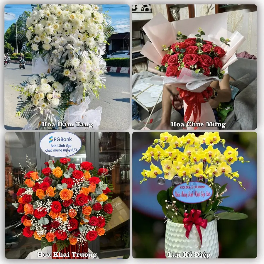Tư vấn chọn hoa theo từng dịp tại Nhà Bàng, Tịnh Biên