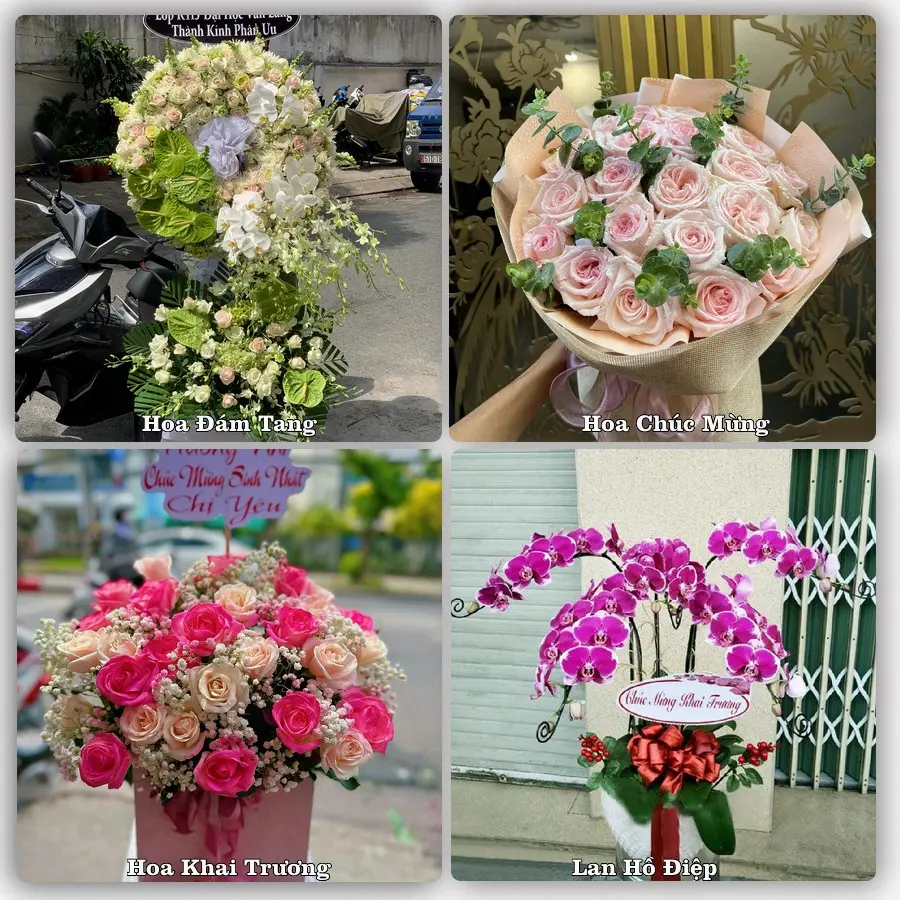 Mẫu hoa tươi dành cho khách đặt hoa tại Vĩnh Thạnh Trung, Châu Phú