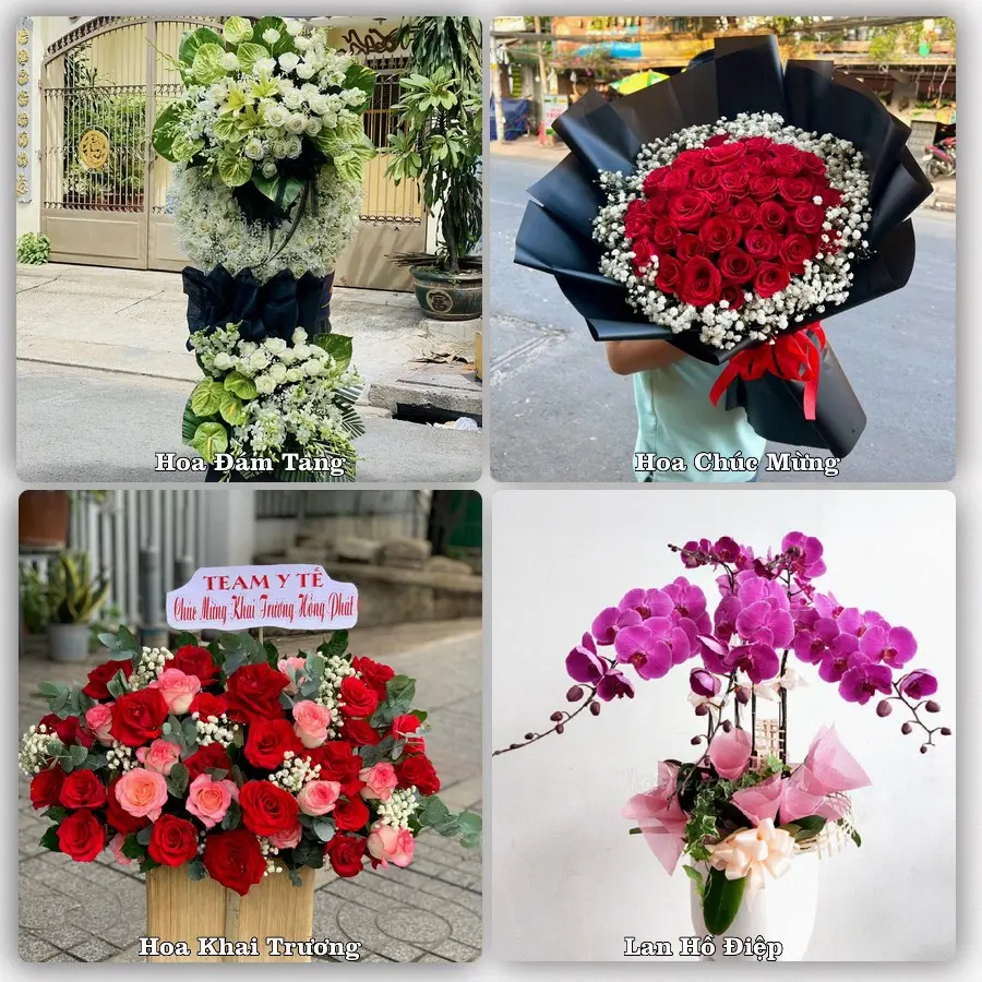 Tư vấn chọn hoa theo từng dịp tại Chợ Vàm, Phú Tân