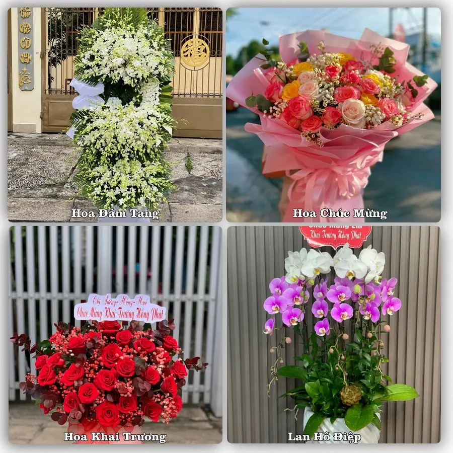 Tư vấn chọn hoa theo từng dịp tại Long Bình, An Phú