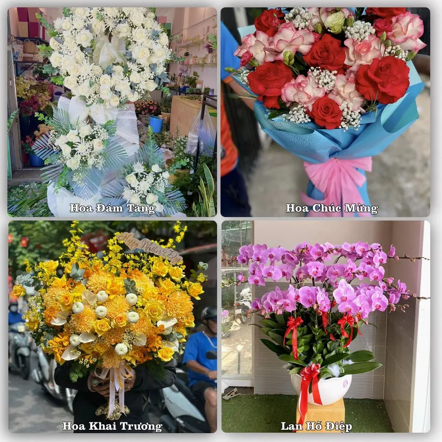 Tư vấn chọn hoa theo từng dịp tại An Phú