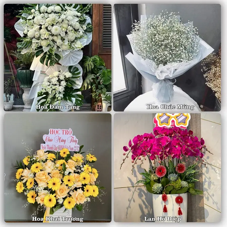 Shop hoa tươi Lai Vung – Đặt online, giao tận nơi