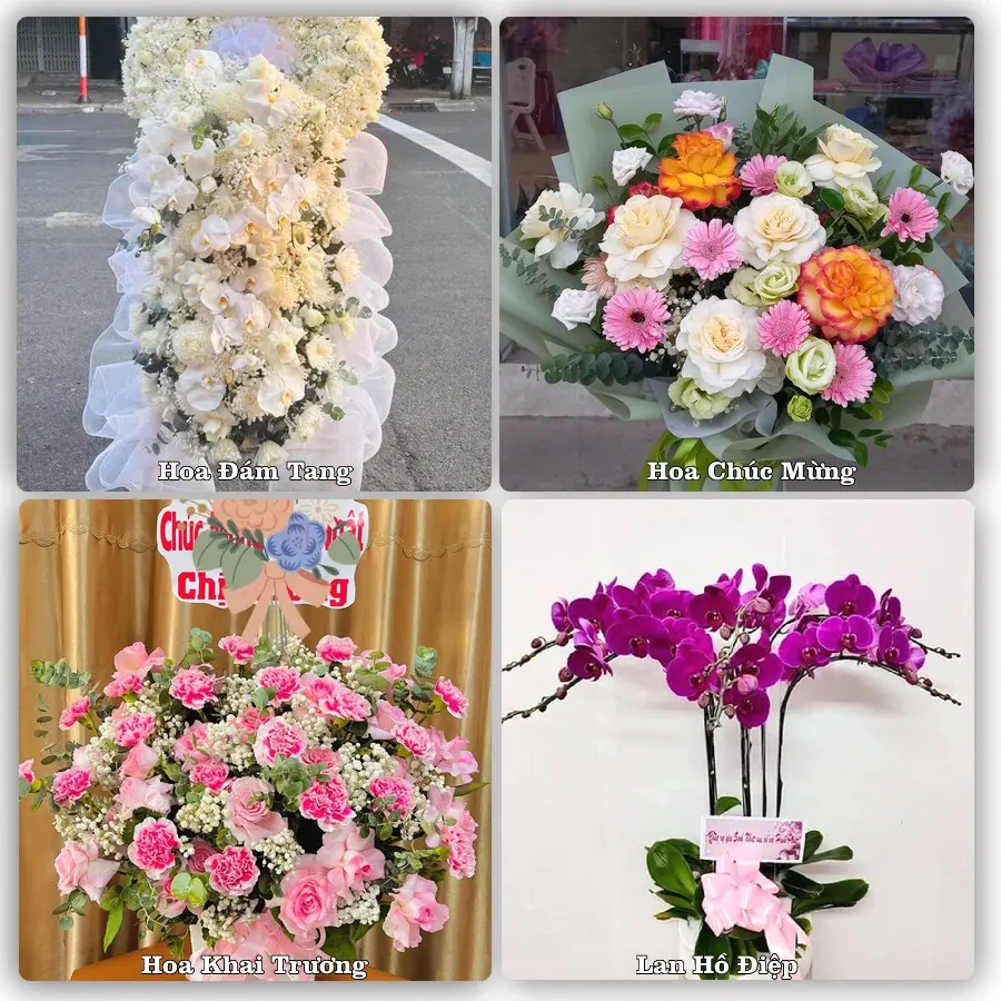 Mẫu hoa tươi dành cho khách đặt hoa tại Lấp Vò