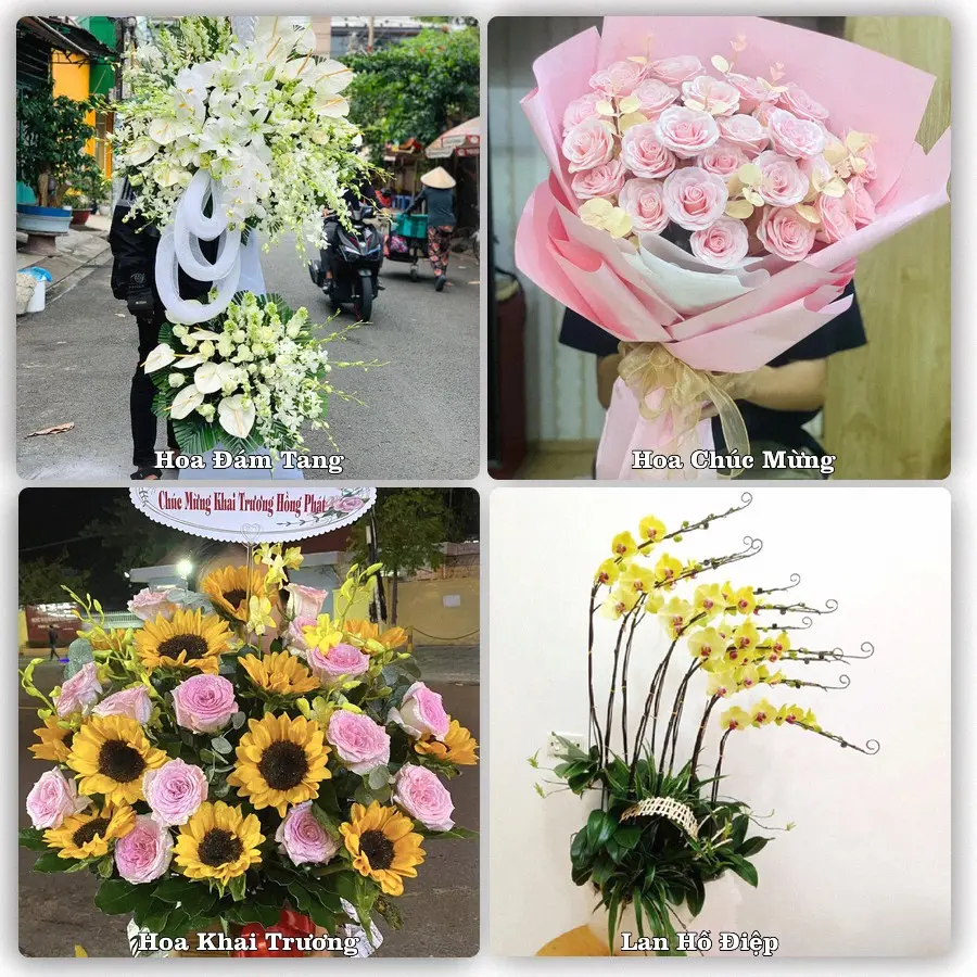 Mẫu hoa tươi dành cho khách đặt hoa tại Thanh Bình