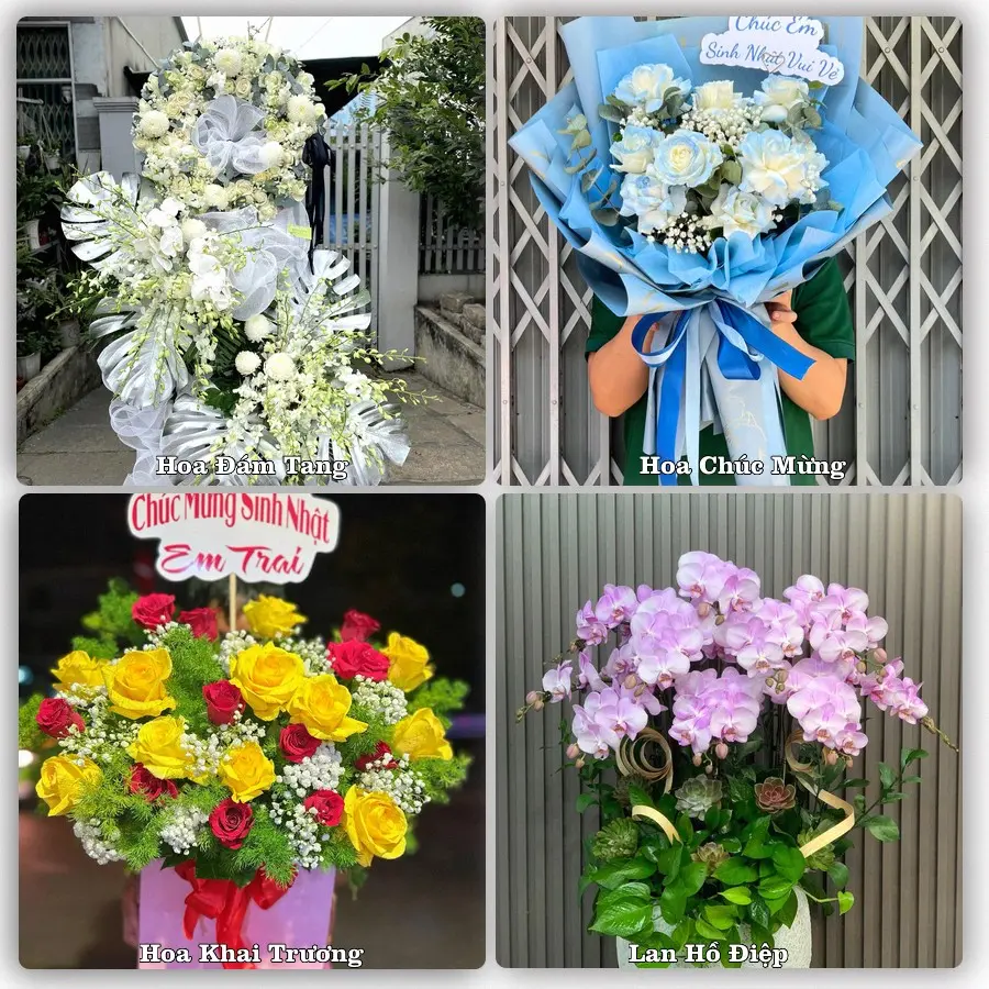 Tư vấn chọn hoa theo từng dịp tại Mỹ Thọ, Cao Lãnh