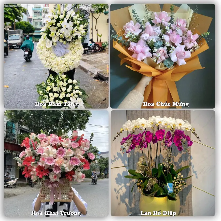 Tư vấn chọn hoa theo từng dịp tại Tràm Chim, Tam Nông