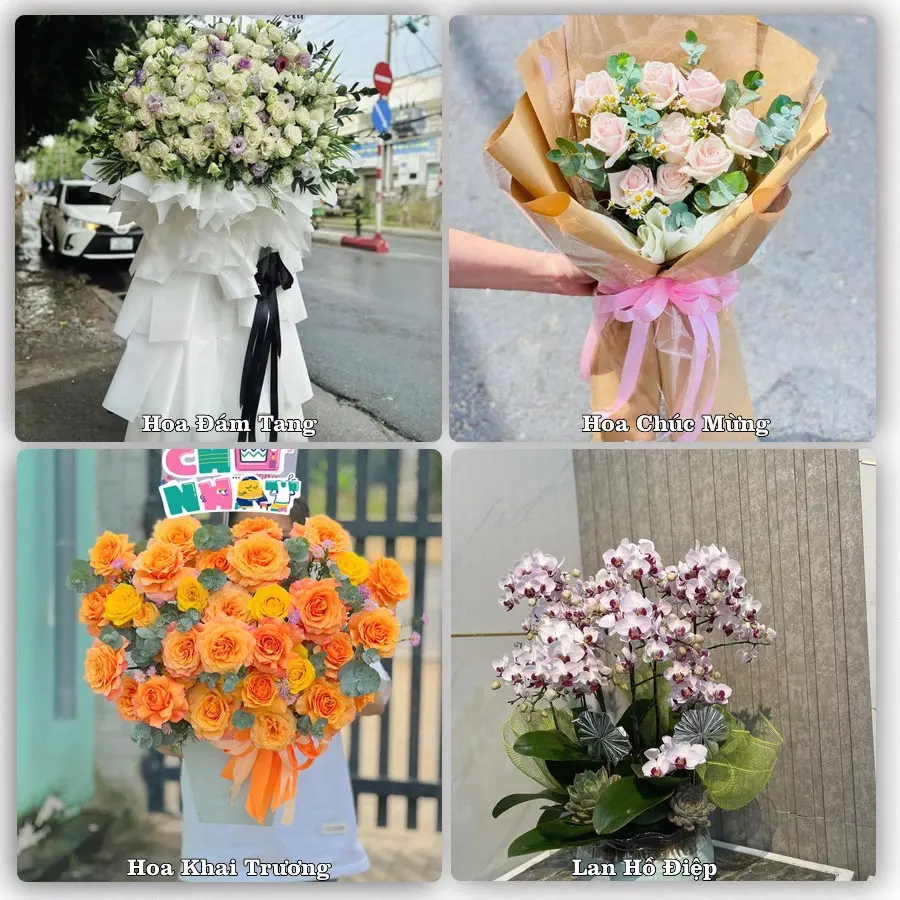 Mẫu hoa tươi dành cho khách đặt hoa tại Thường Thới Tiền, Hồng Ngự