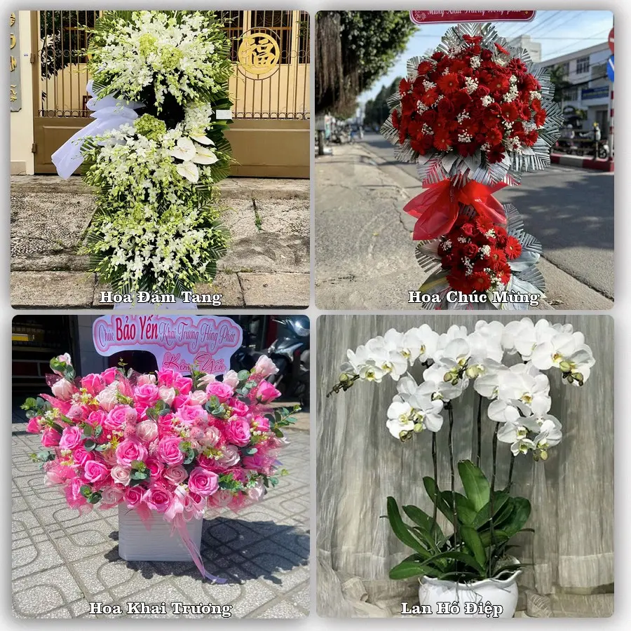 Mẫu hoa tươi dành cho khách đặt hoa tại Trà Ôn