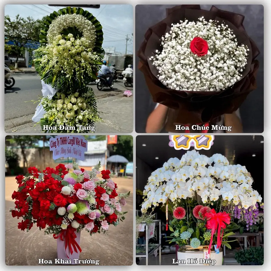 Tư vấn chọn hoa theo từng dịp tại Trà Ôn