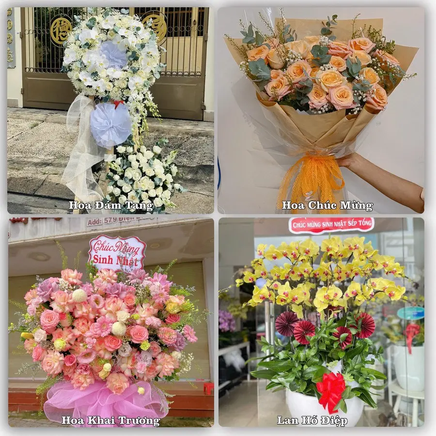 Mẫu hoa tươi dành cho khách đặt hoa tại Vũng Liêm
