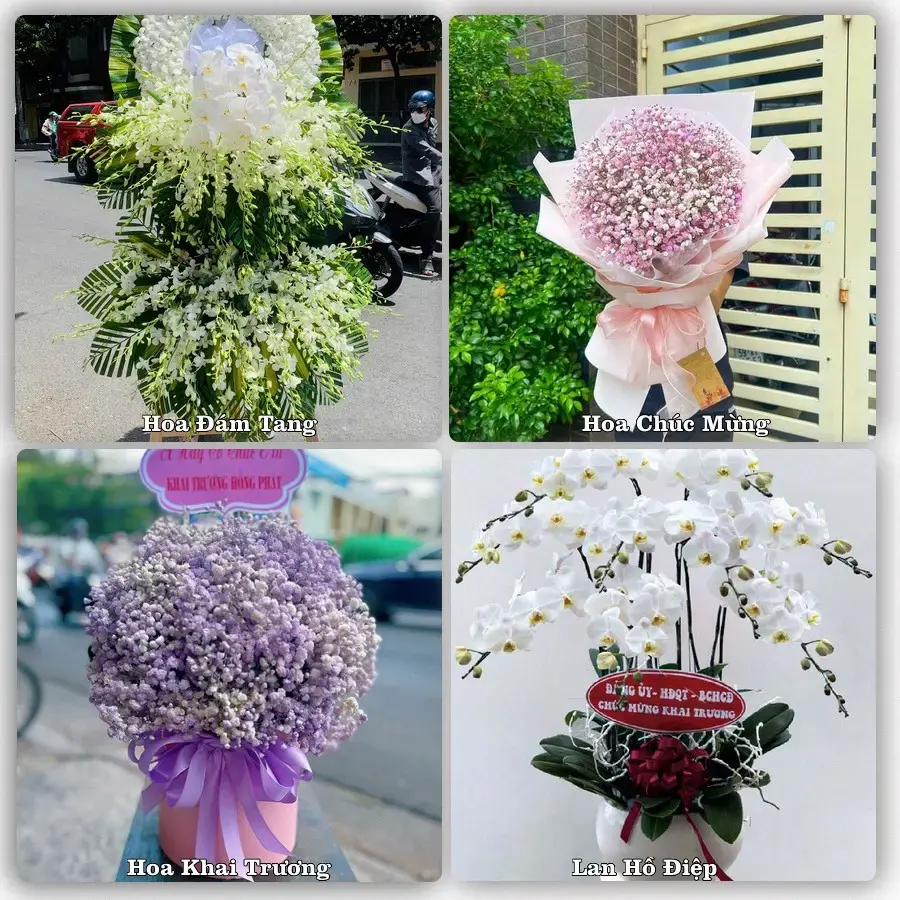 Shop hoa tươi Định An, Trà Cú – Đặt online, giao tận nơi