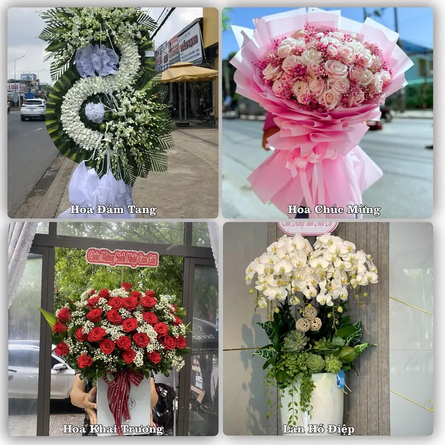 Tư vấn chọn hoa theo từng dịp tại Định An, Trà Cú