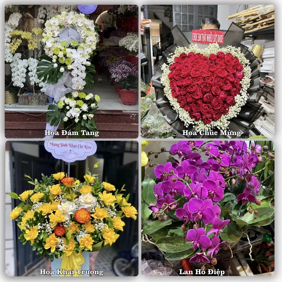 Mẫu hoa tươi dành cho khách đặt hoa tại Trà Cú