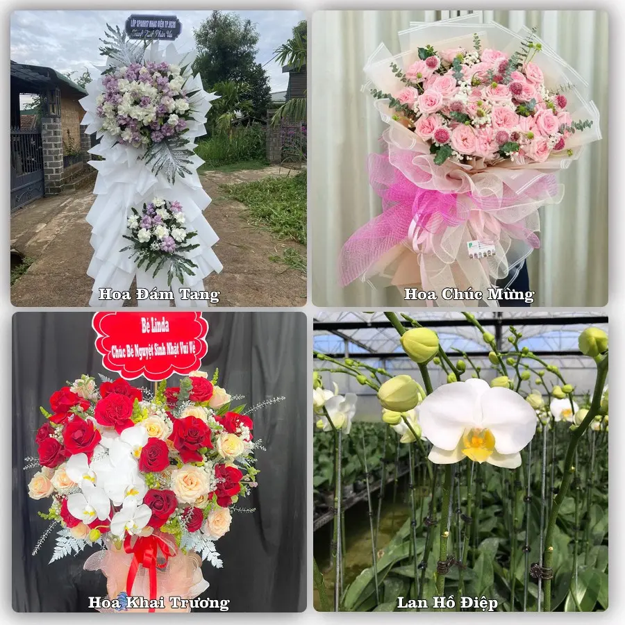 Tư vấn chọn hoa theo từng dịp tại Trà Cú