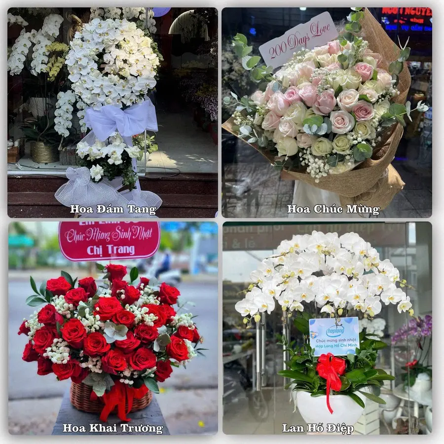 Tư vấn chọn hoa theo từng dịp tại Mỹ Long, Cầu Ngang