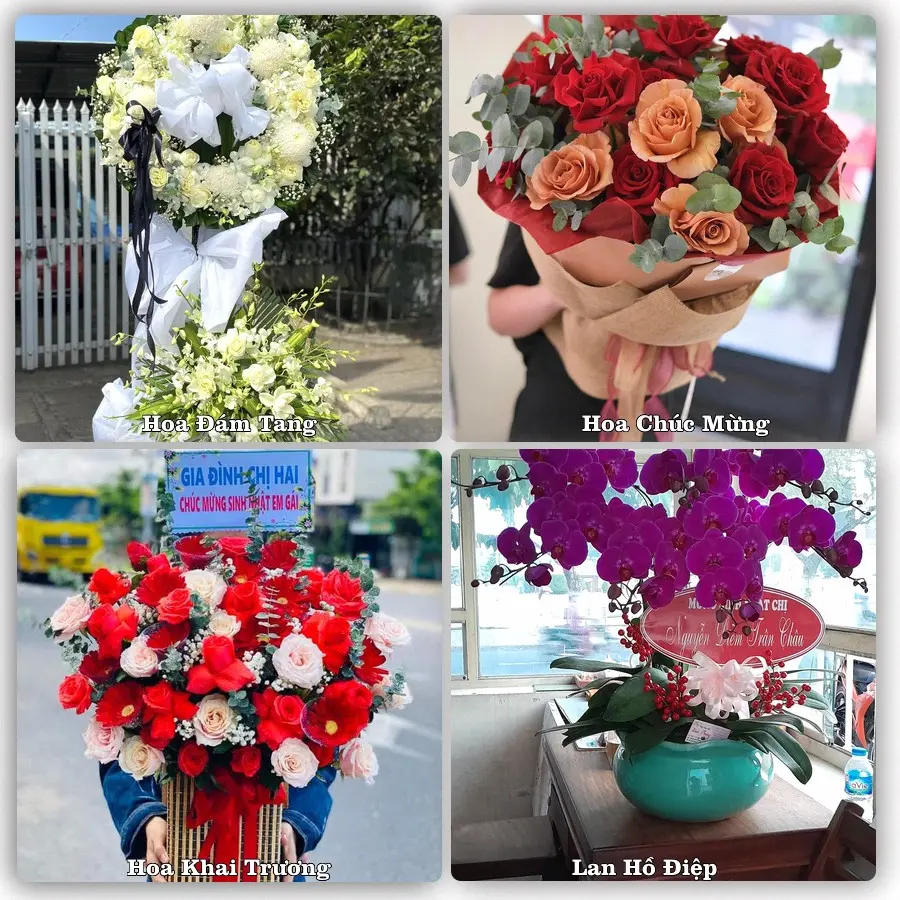 Mẫu hoa tươi dành cho khách đặt hoa tại Cầu Kè