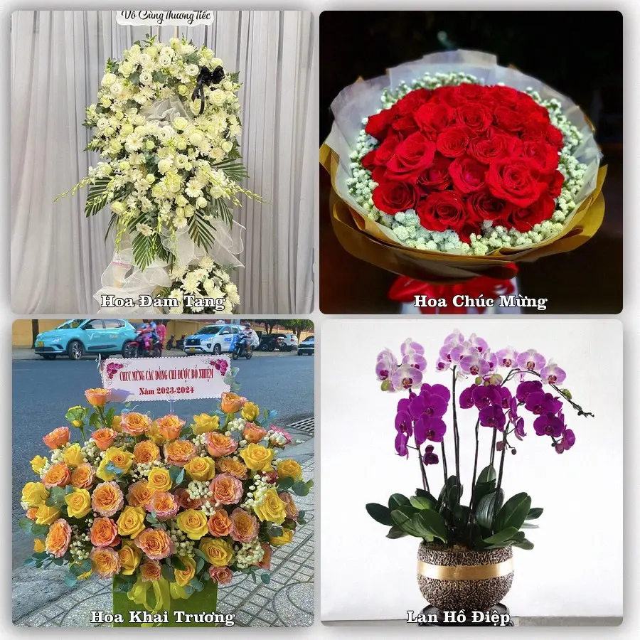 Tư vấn chọn hoa theo từng dịp tại Càng Long