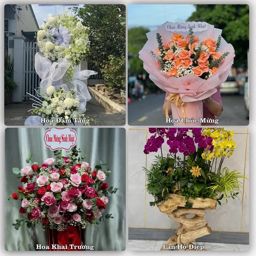 Mẫu hoa tươi dành cho khách đặt hoa tại Ba Tri