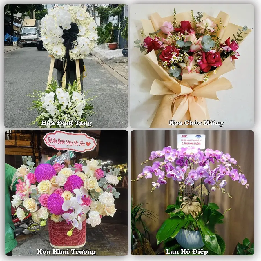 Tư vấn chọn hoa theo từng dịp tại Ba Tri
